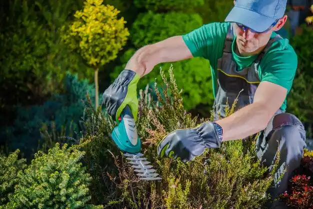 landscaping services Corunna